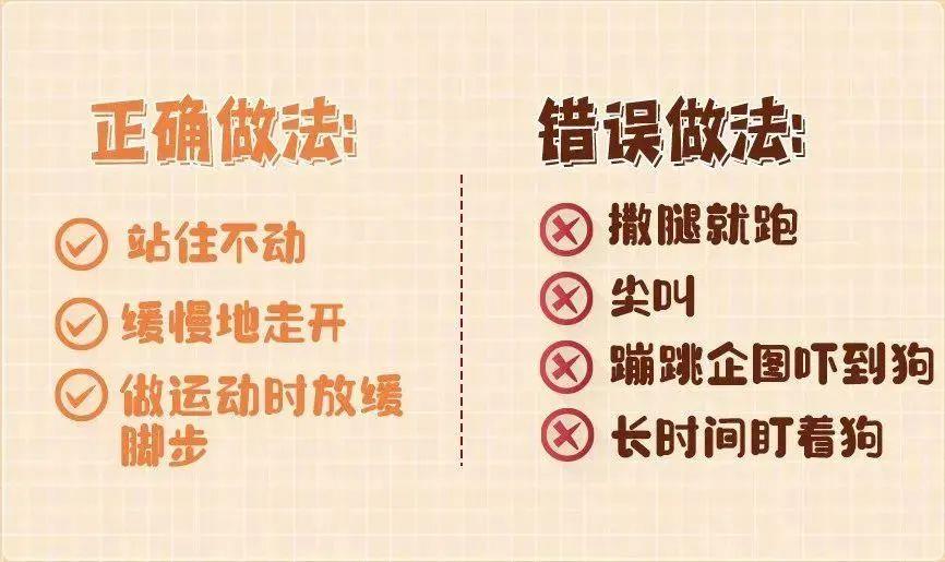 冰球突破爆百万大奖-4岁男童被狗咬伤陷入昏迷 路遇恶犬袭击千万别做这4件事(图2)