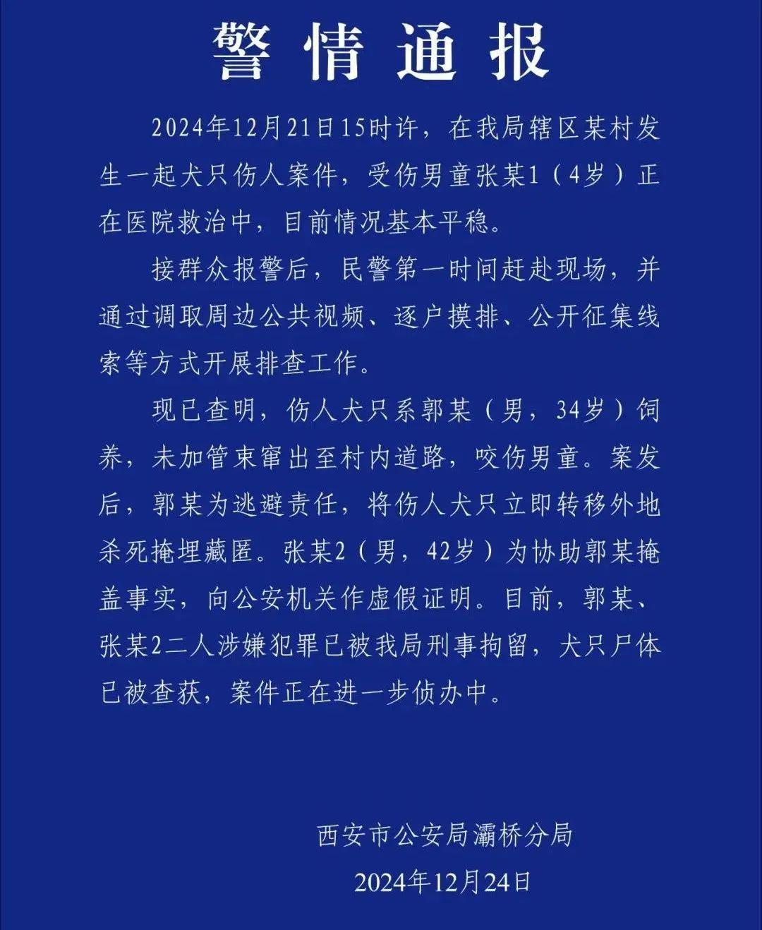 冰球突破爆百万大奖-4岁男童被狗咬伤陷入昏迷 路遇恶犬袭击千万别做这4件事(图3)